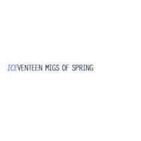 Seventeen Migs Of Spring : ICE